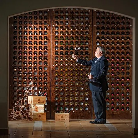 Maris 헐소니소스